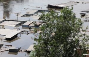Наслідки війни. В Україні зафіксували майже 2,5 тисячі випадків шкоди довкіллю через бойові дії