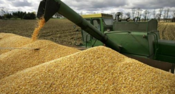 рф хоче укласти нову зернову угоду без України | INFBusiness