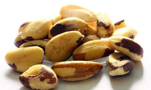 Чим корисні для людей бразильські горіхи | INFBusiness