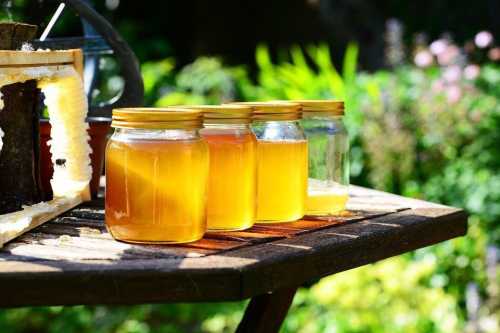 Який мед вважається найкориснішим, а також його особливі властивості | INFBusiness