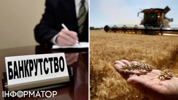 Українські аграрії прогнозують хвилю банкрутств: що повинна зробити держава | INFBusiness