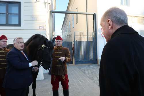 Прем'єр Угорщини Орбан подарував голові Туреччини Ердоганові коня | INFBusiness