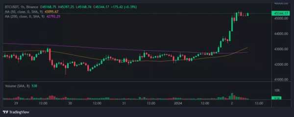 Цена биткоина поднялась выше $45 000 | INFBusiness