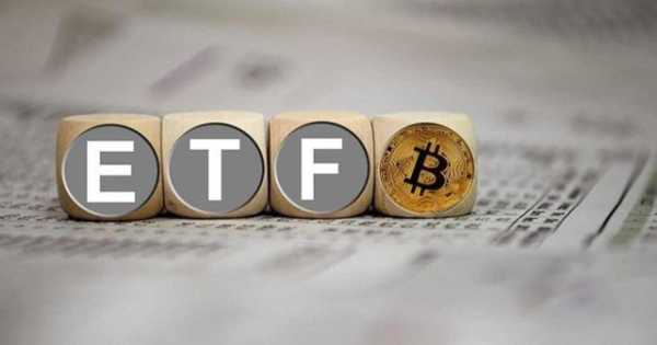 По данным экспертов, девять биткоин-ETF контролируют более 100 тыс BTC | INFBusiness