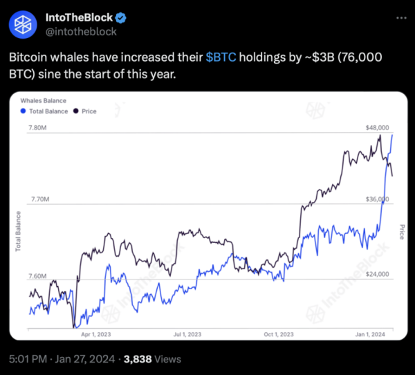 За месяц киты накопили биткоины на $3 млрд | INFBusiness