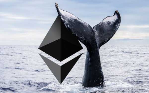 Из спячки вышел давний Ethereum-кит | INFBusiness