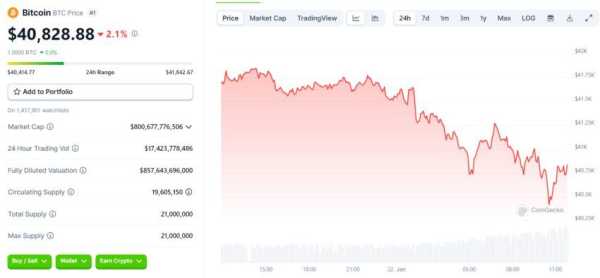 Майк Новограц: Биткоин начнет расти только через полгода | INFBusiness