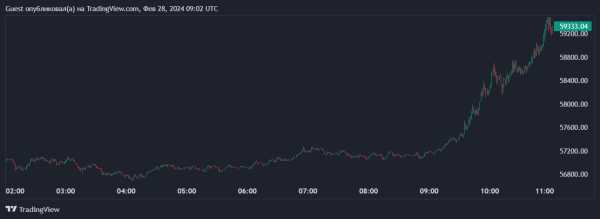 Цена биткоина поднялась выше $59 000 | INFBusiness