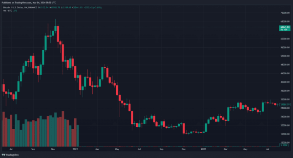 Биткоин обновил исторический максимум, поднявшись выше $69 000 | INFBusiness