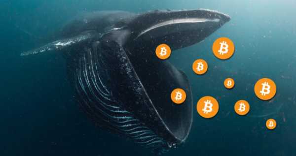 Неизвестный биткоин-кит, который в 2010 году получил 2000 BTC в качестве вознаграждения за майнинг, перевел все активы на один кошелек. На момент написания они оцениваются в более $140 млн, а 14 лет назад их стоимость составляла $600. Ранний биткоин-кит перевел 2000 BTC на один кошелек | INFBusiness