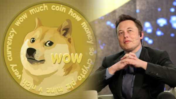 Илон Маск опять подбросил цену Dogecoin | INFBusiness