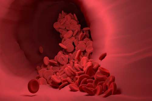 Медики назвали ознаки, що вказують на дуже рідку кров | INFBusiness