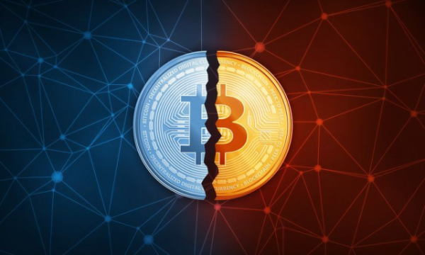 Через сколько халвингов еще пройдет биткоин | INFBusiness