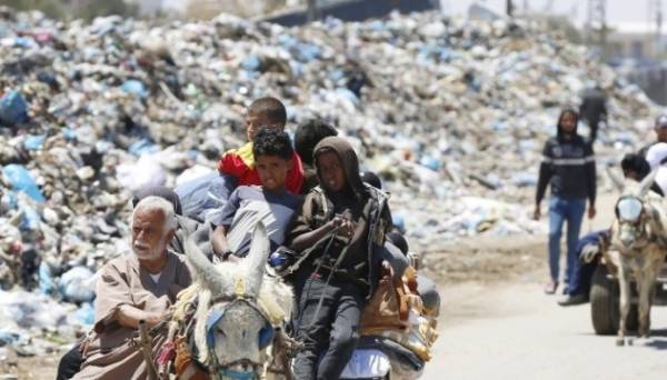 Місто Рафах у секторі Гази через бойові дії покинуло 80 тисяч людей – ООН