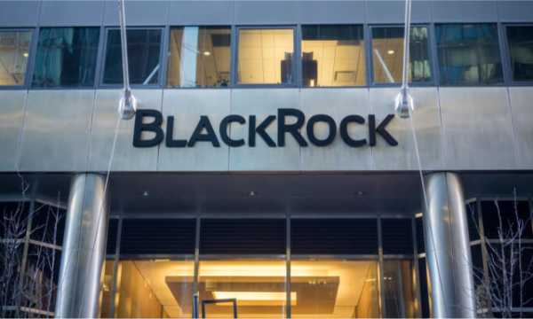 Биткоин-ETF от BlackRock в первый раз ушел в минус | INFBusiness