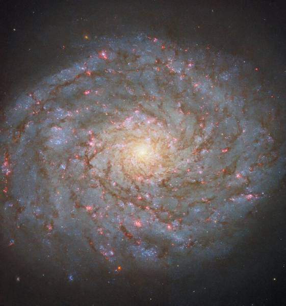54 мільйони світлових років від Землі: Hubble показав галактику у Волоссі Вероніки | INFBusiness