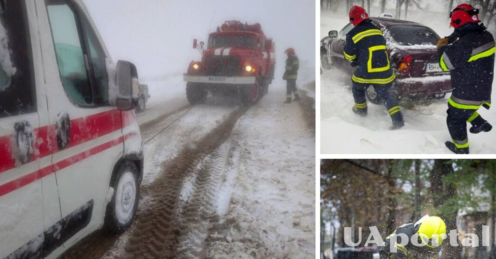 На Одещині бушує негода: через снігопади падають дерева, перевертаються автомобілі (відео)