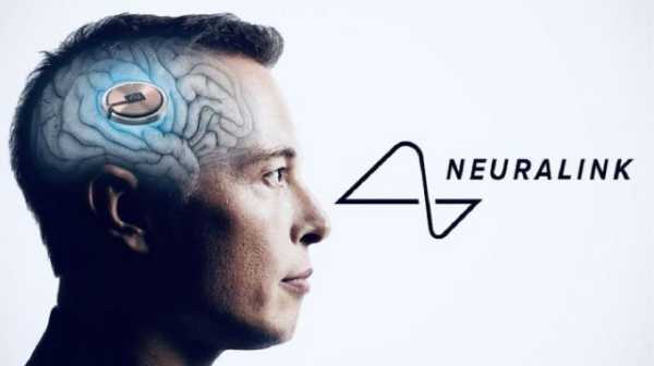 У чипа Neuralink, имплантированного человеку, возникли проблемы | INFBusiness