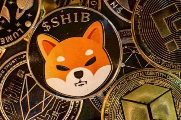 В сети Shiba Inu по ошибке сожгли миллиарды токенов | INFBusiness