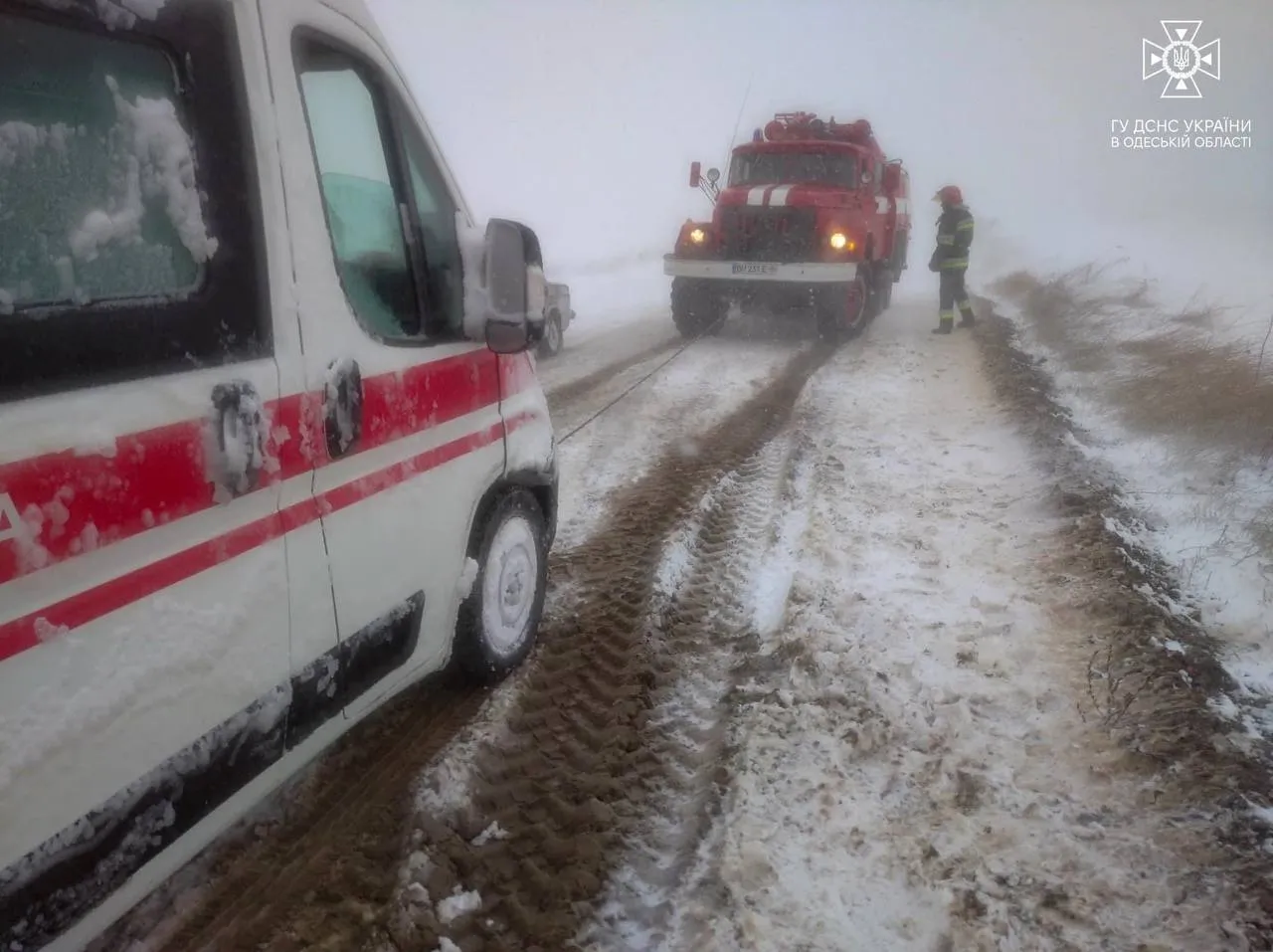 На Одещині бушує негода: через снігопади падають дерева, перевертаються автомобілі (відео)