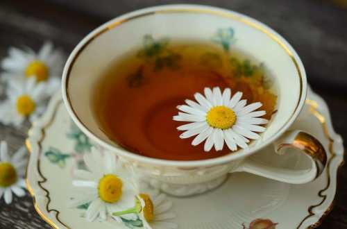В яких випадках природними ліками може бути просто чай | INFBusiness