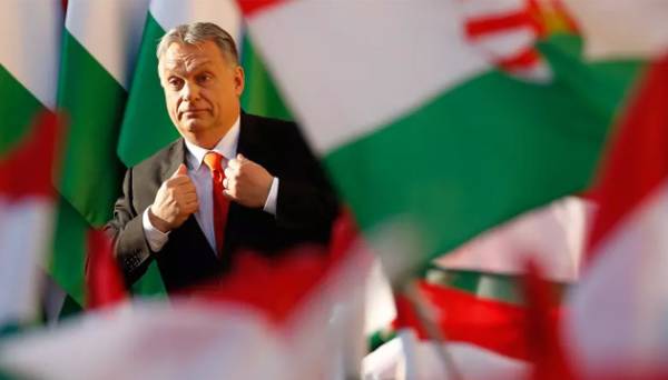 Угорщина «переосмислює» своє членство у НАТО - Орбан | INFBusiness