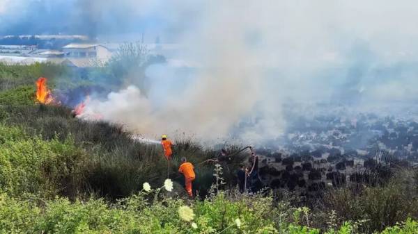 В Анталії - масштабна лісова пожежа, вогонь гасять з літаків та гелікоптерів | INFBusiness