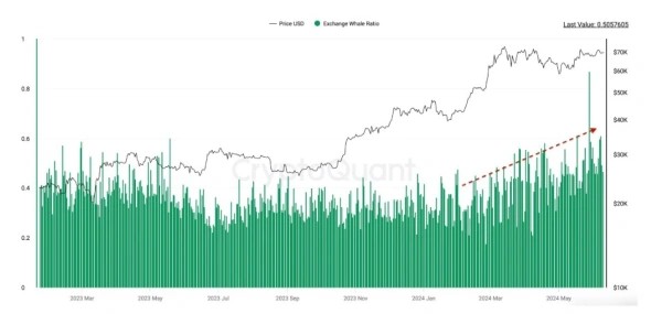 Долгосрочные держатели и киты продают биткоины | INFBusiness