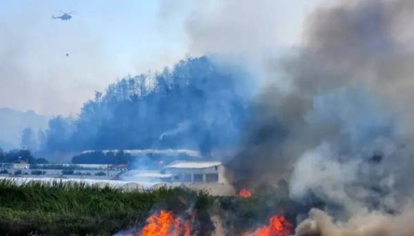 В Анталії - масштабна лісова пожежа, вогонь гасять з літаків та гелікоптерів | INFBusiness