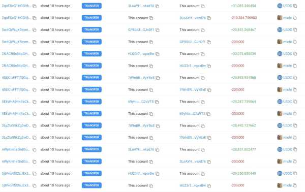 Трейдер заработал миллион долларов на мемкоине $MICHI | INFBusiness