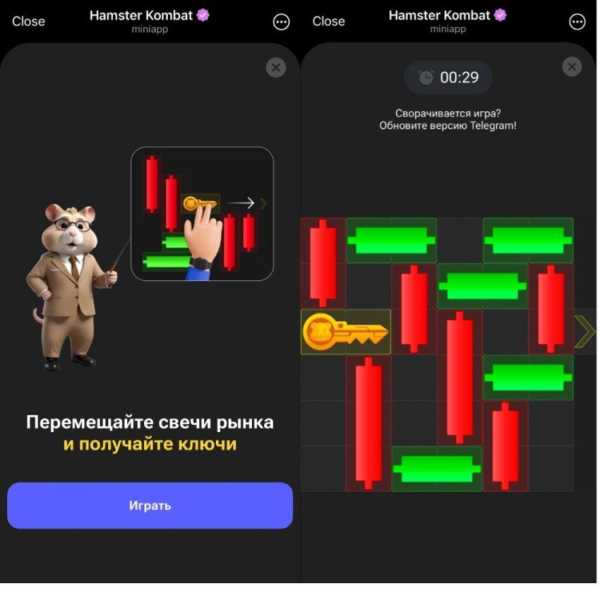 В Hamster Kombat появилась мини-игра | INFBusiness