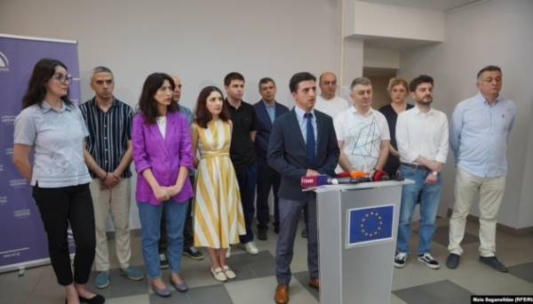 Закон про «іноагентів»: грузинські неурядові організації звернулися до Конституційного суду | INFBusiness