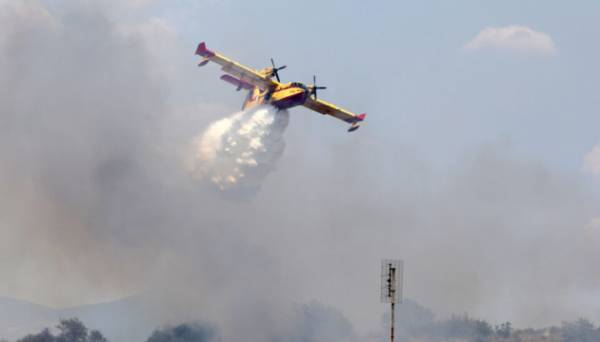 У Греції спалахнула лісова пожежа, для її гасіння задіяли авіацію | INFBusiness