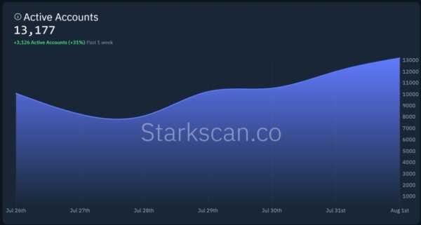 Starknet назначили нового главу | INFBusiness