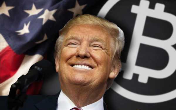Дональд Трамп пиарит криптопроект сыновей | INFBusiness