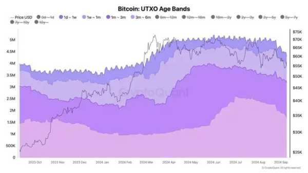 CryptoQuant: Биткоин переходит в сильные руки | INFBusiness