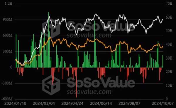 Bitfinex: Внезапного падения BTC в ближайшие дни можно не ждать | INFBusiness