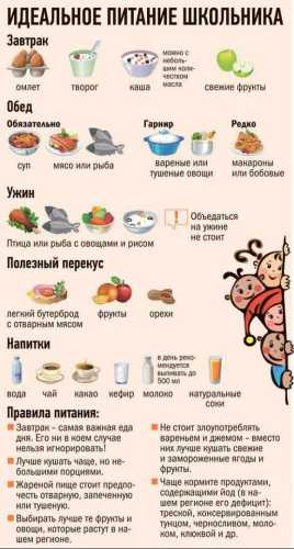 Правильне харчування школярів — скільки і чого саме потрібно дитячому організму | INFBusiness