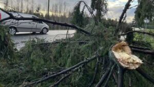 У Фінляндії вперше зафіксували ураган, без електрики залишилися тисячі будинків | INFBusiness