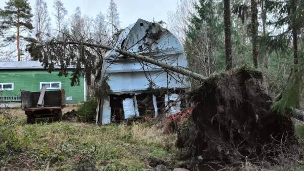 У Фінляндії вперше зафіксували ураган, без електрики залишилися тисячі будинків | INFBusiness