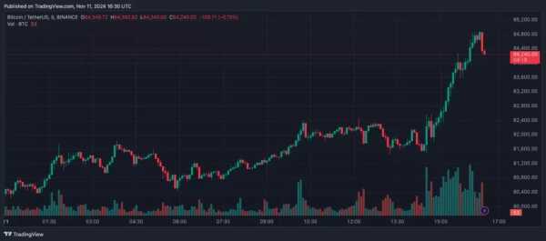 Цена биткоина поднималась до $85 000 | INFBusiness