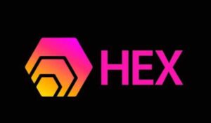 У основателя Hex изъяли часы на ,7 млн | INFBusiness