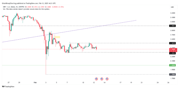 Аналитик прогнозирует падение XRP на 30% в ближайшее время | INFBusiness