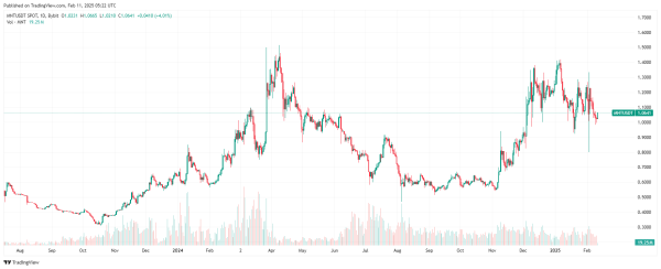 Чем токен Mantle (MNT) привлек к себе внимание | INFBusiness