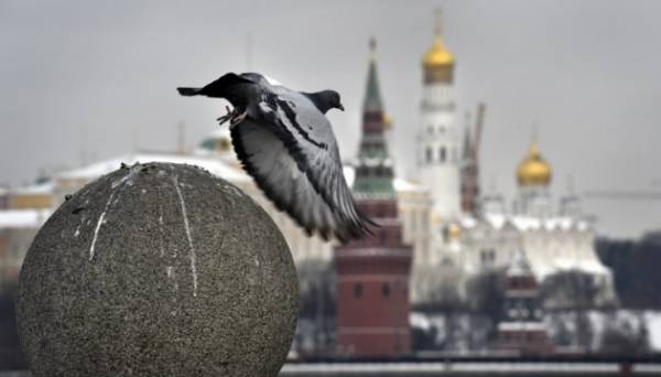 Заплановані Росією «концерти миру» є спробою фальсифікувати історію війни проти України - МКСК | INFBusiness