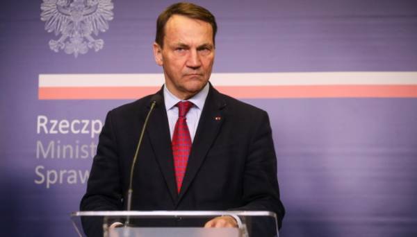 Країни Європи не створюватимуть єдину армію - Сікорський | INFBusiness