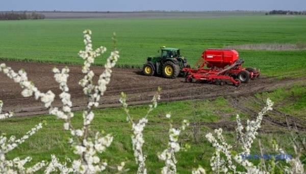 Посівна-2025: військові виклики та вплив погоди | INFBusiness
