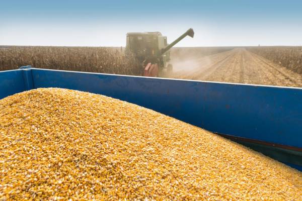 Переваги – все? Як ми торгуватимемо з ЄС після закінчення «безвізового режиму»? | INFBusiness