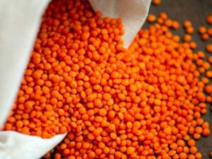 Ви втрачаєте поживні речовини: помилка, яку робить майже кожен, їдячи сочевицю | INFBusiness