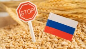 Кремль вручну намагається стимулювати недостатній експорт зерна – розвідка | INFBusiness